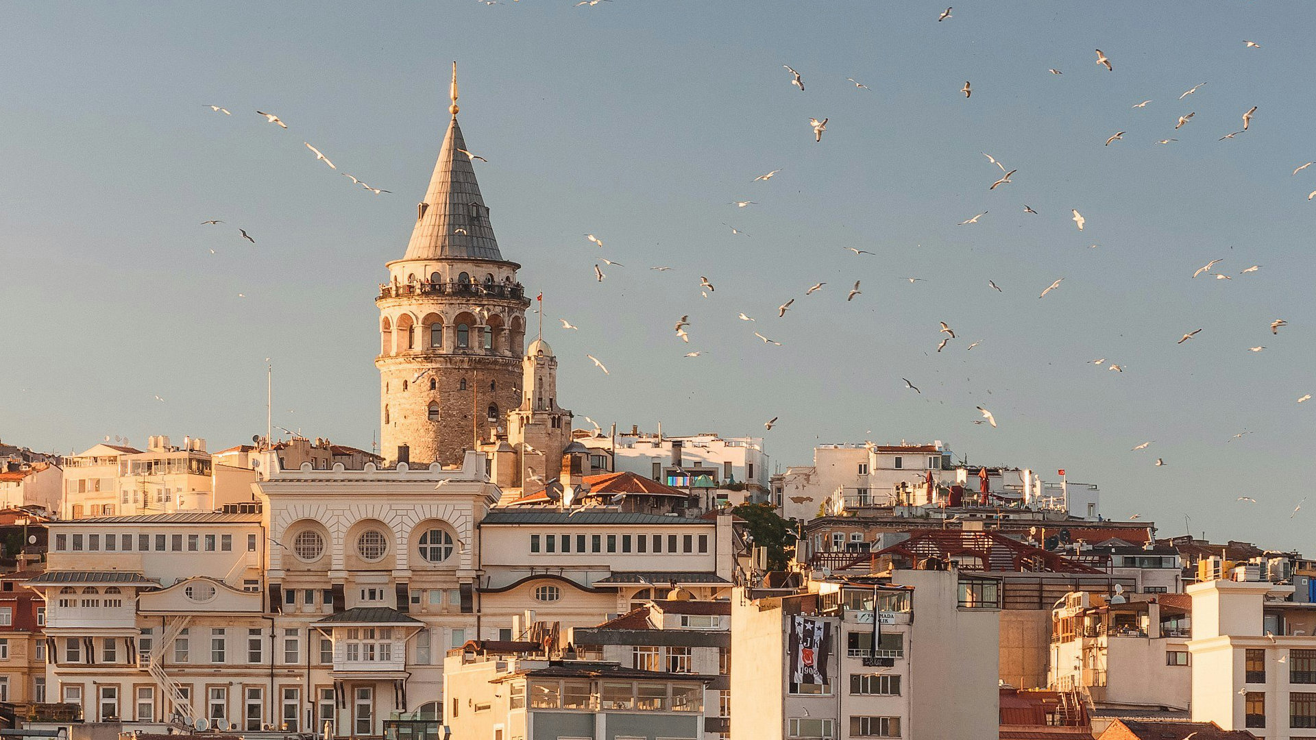 turkey